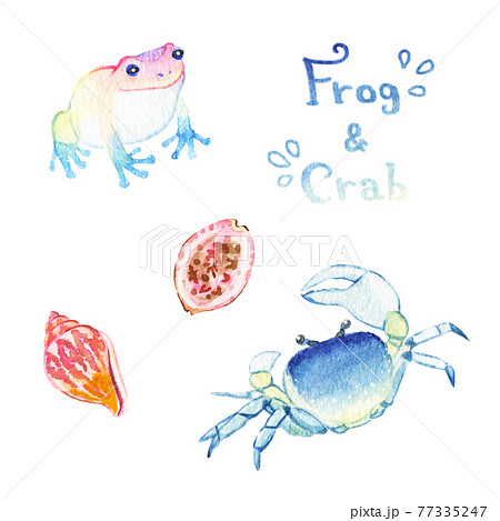 水彩画 色鮮やかなアマガエルと青いサワガニ カラフルな貝殻の手描き水彩画イラストセットのイラスト素材 水彩画 色鮮やかなアマガエルと青いサワガニ カラフルな貝殻の手描き水彩画イラストセットのイラスト素材