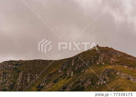 The majestic Carpathians in all the peace and quiet, the beauty and grandeur of the Ukrainian mountains. The majestic Carpathians in all the peace and quiet, the beauty and grandeur of the Ukrainian mountains. 77336173
