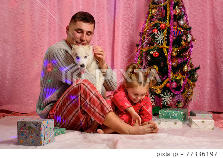 Dad with daughter and husky puppy sitting by the Christmas tree, dad and daughter in pajamas. Dad with daughter and husky puppy sitting by the Christmas tree, dad and daughter in pajamas. 77336197