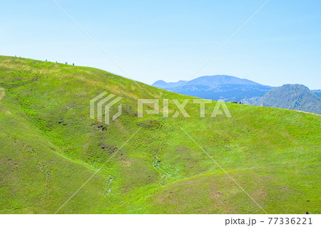 伊豆・大室山の風景(春) 伊豆・大室山の風景(春) 77336221