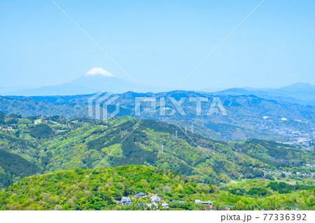 伊豆・大室山の風景(春):富士山を望む 伊豆・大室山の風景(春):富士山を望む 77336392