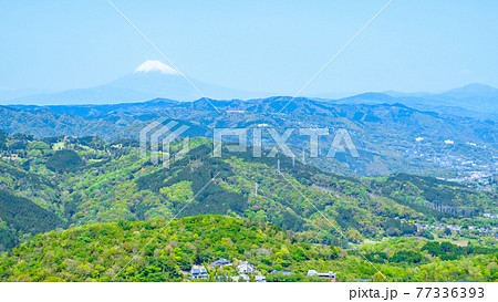 伊豆・大室山の風景(春):富士山を望む 伊豆・大室山の風景(春):富士山を望む 77336393