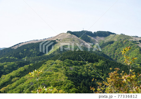 神奈川県立山北つぶらの公園から大野山と足柄平野を望む 神奈川県立山北つぶらの公園から大野山と足柄平野を望む 77336812