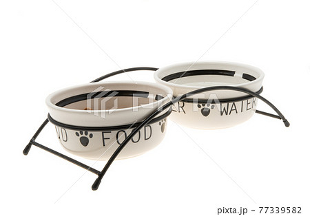 dog dish isolated 77339582