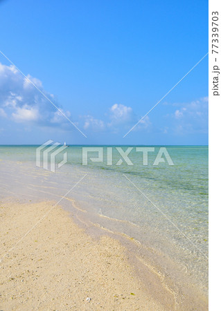 竹富島　コンドイ浜 77339703