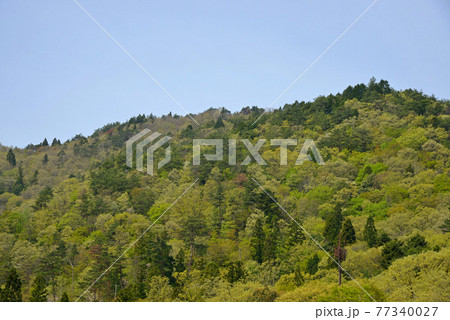 ≪京都府 るり渓高原の新緑≫ 京都府南丹市 ≪京都府 るり渓高原の新緑≫ 京都府南丹市 77340027