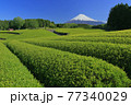 富士山と茶畑 77340029