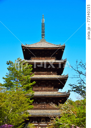 仁和寺 仁和寺 77340155