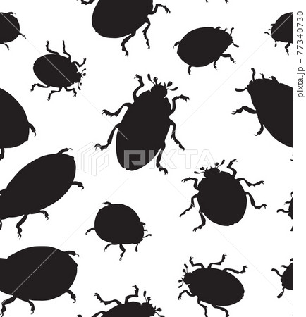Beetle. Vector drawing Beetle. Vector drawing 77340730