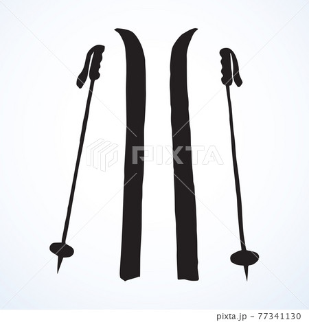 Skiing. Vector drawing Skiing. Vector drawing 77341130