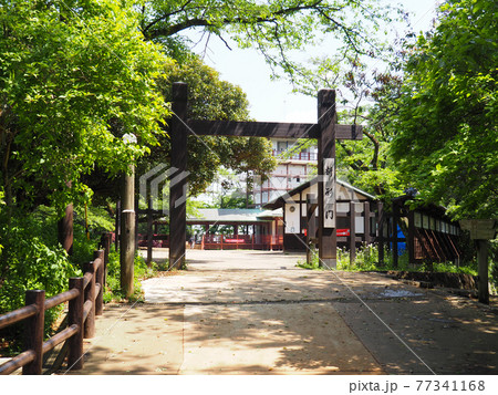 生田緑地　枡形山広場　入口 77341168