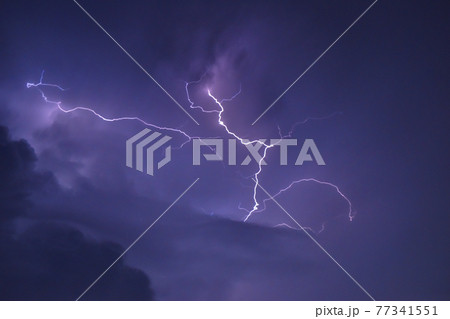 雷 雷 77341551