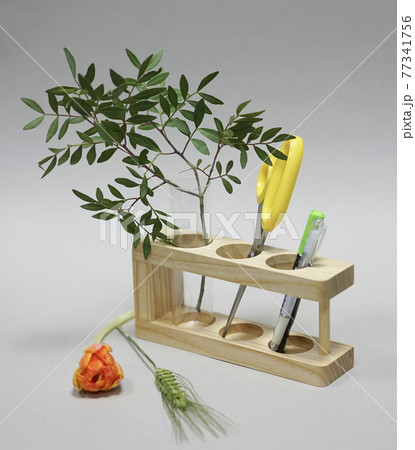 Branch of a plant in a stand with stationery, scissors handles, and a spikelet and a tulip on a white background Branch of a plant in a stand with stationery, scissors handles, and a spikelet and a tulip on a white background 77341756