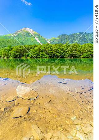 夏の上高地 大正池 【長野県】 夏の上高地 大正池 【長野県】 77341906