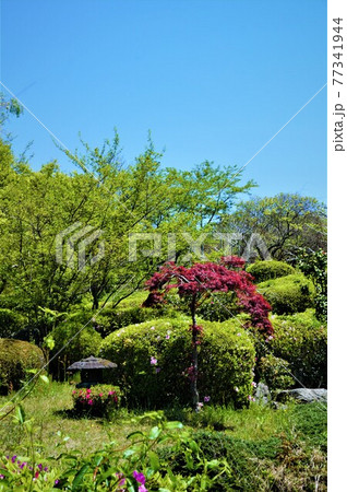 八塔寺ふるさと村公園の眺め、縦位置 八塔寺ふるさと村公園の眺め、縦位置 77341944