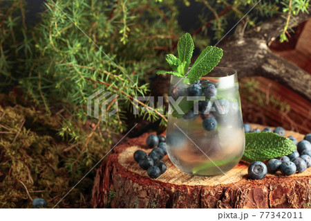 Cocktail with ice, blueberries, and mint on a pine stump in the forest. Cocktail with ice, blueberries, and mint on a pine stump in the forest. 77342011