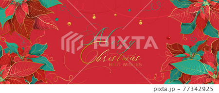 Christmas Poinsettia light red social network 77342925