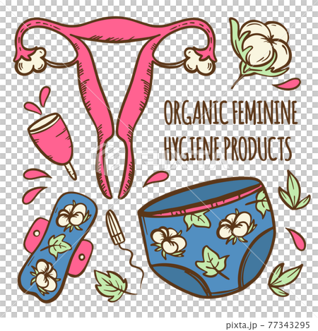 MENSTRUATION SET Organic Feminine Gynecological Healthcare Zero Waste Women Hygiene Hand Drawn Vector Illustration Clip Art For Print 77343295