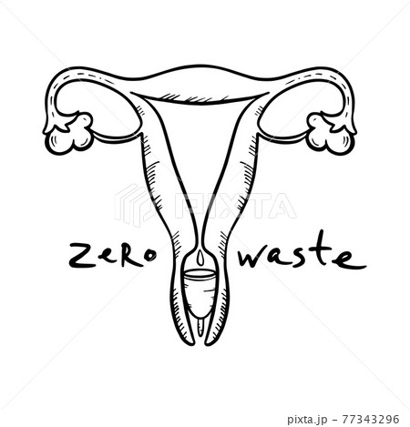 Menstrual Cup Gynecological Healthcare Zero のイラスト素材