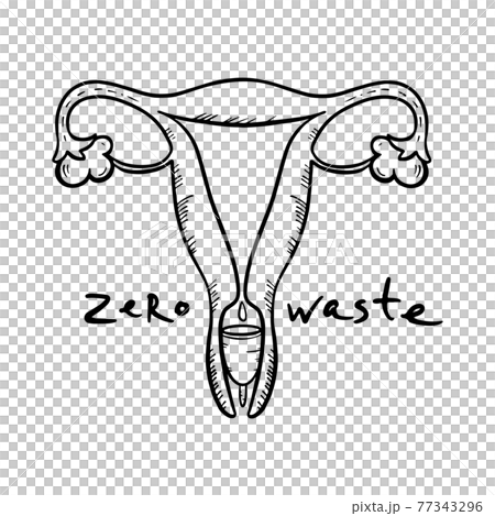 MENSTRUAL CUP Gynecological Healthcare Zero Waste Feminine Hygiene Hand Drawn Monochrome Vector Illustration Set For Print 77343296