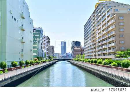 白妙橋／平久川より浜崎橋方面を望む(東京都江東区)【2021.4】 77343875