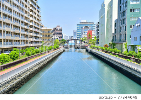 浜崎橋/平久川より白妙橋方面を望む(東京都江東区)【2021.4】 浜崎橋/平久川より白妙橋方面を望む(東京都江東区)【2021.4】 77344049