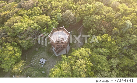 九千部山 展望台 九千部山 展望台 77344341