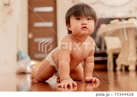 1歳　赤ちゃん　はいはい　ハイハイ　おむつ　オムツ　裸 77344428