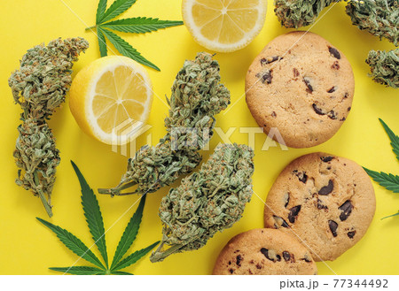 Chocolate cookies with CBD oil. Marijuana buds on yellow background. 77344492