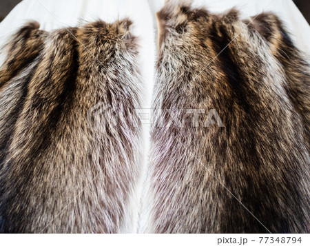 fur pelts stitched to the textile layout close up 77348794