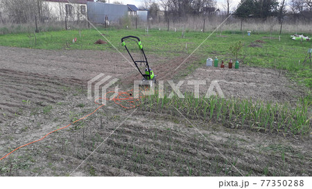 Plowing a garden with a hand cultivator 77350288