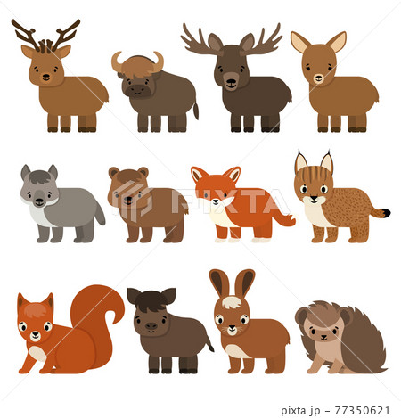 Set of cartoon animals of the forest and taiga,... - Stock Illustration  [77350621] - PIXTA