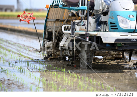 田舎の風景田植え 田舎の風景田植え 77352221