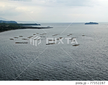桜島の赤水町の漁港の養殖いかだ 77352287