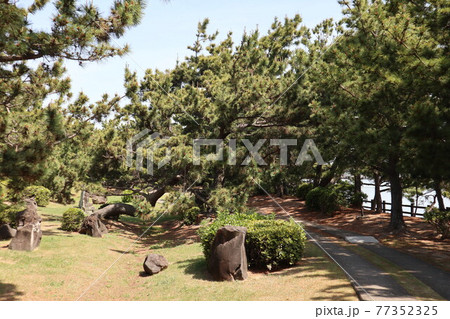和歌浦の万葉の道を巡る風景 和歌浦の万葉の道を巡る風景 77352325