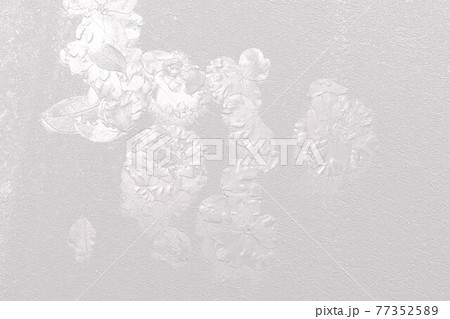 3d 地面に落ちた椿の花 シルバーの背景 3d 地面に落ちた椿の花 シルバーの背景 77352589