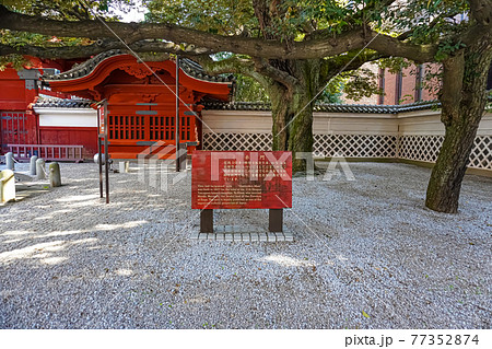 東京大学赤門 77352874