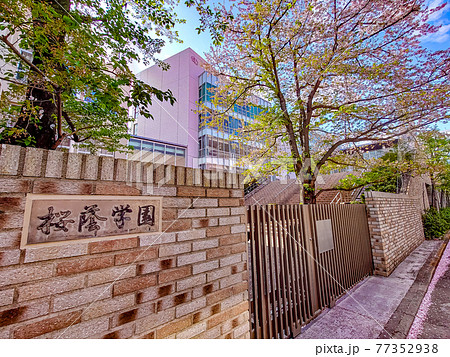 桜蔭学園 桜蔭学園 77352938