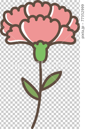 康乃馨可愛圖 77352999