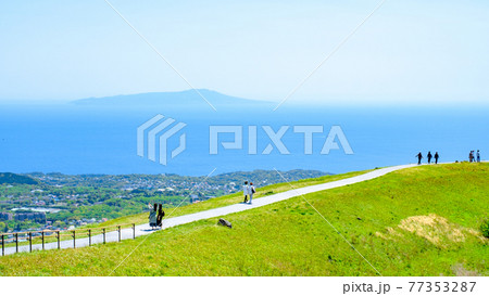伊豆・大室山の風景（春）：相模灘・伊豆大島を望む 77353287