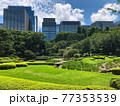 皇居の庭園から見えるビル群 77353539