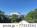 富士山 77353541