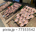 天日干しされた干物 77353542