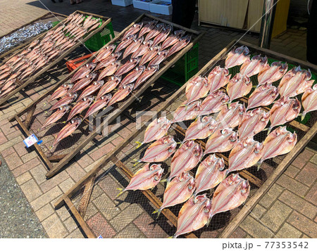 天日干しされた干物 天日干しされた干物 77353542