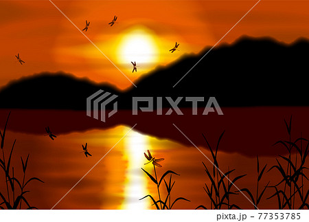 夕暮れ　とんぼ　横 77353785