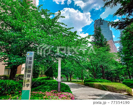 聖路加国際大学 聖路加国際大学 77354190