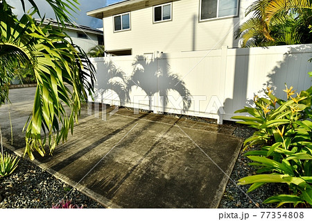 ハワイの休日 77354808