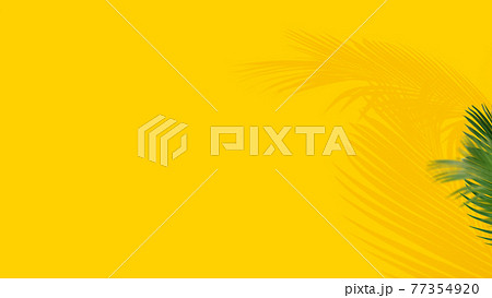 黄色い壁とヤシの木のシルエット - 複数のバリエーションがあります 黄色い壁とヤシの木のシルエット - 複数のバリエーションがあります 77354920
