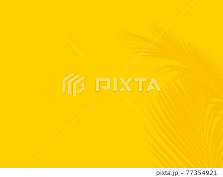 黄色い壁とヤシの木のシルエット - 複数のバリエーションがあります 黄色い壁とヤシの木のシルエット - 複数のバリエーションがあります 77354921