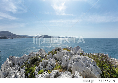 和歌山　白崎海洋公園　石灰岩 77355219